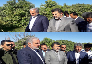 بازدید استاندار سیستان و بلوچستان به همراه معاون اقتصادی وزیر کشور از باغ‌ها گرمسیری منطقه پیشین