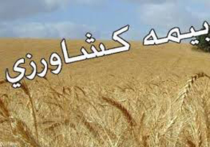 افزایش ۱۰ درصدی تعرفه بیمه کشاورزی در خراسان شمالی