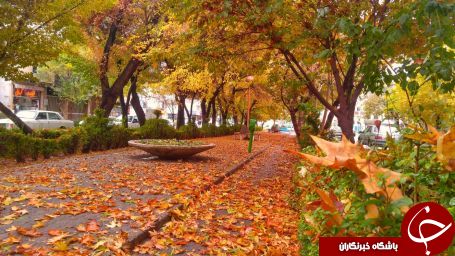 نمایی از طبیعت پاییزی در اصفهان + تصاویر