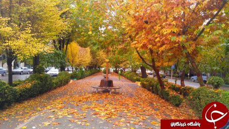نمایی از طبیعت پاییزی در اصفهان + تصاویر