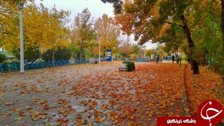نمایی از طبیعت پاییزی در اصفهان + تصاویر