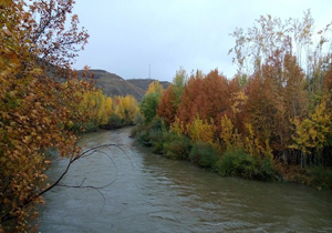 پیش بینی بارش پراکنده باران