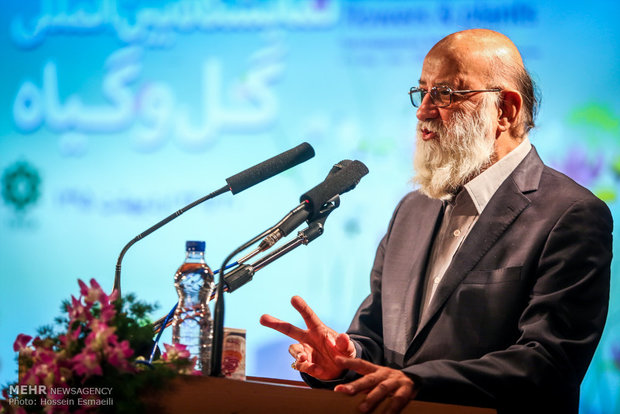 بسیاری از مشکلات به دلیل ندانم کاری برخی در داخل ایجاد شده است