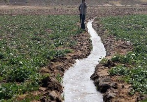 ممنوعیت کشت هرگونه محصول آبدوست در سلسله