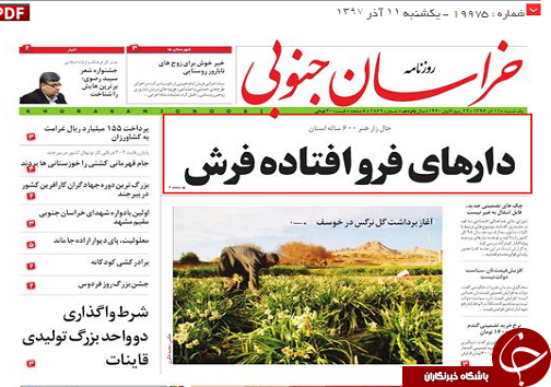 دارهای فرو افتاده فرش/ظرفیت های استان باید شکوفا شود