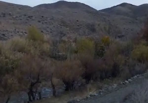 نمایی از طبیعت رنگارنگ در کاشمر + فیلم
