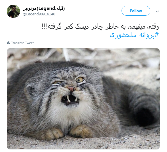 خانم نماینده قداست چادر را زیر سوال نبر +واکنش کاربران خانم نماینده قداست چادر را زیر سوال نبر +واکنش کاربران