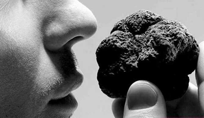 سیاره&zwnj;های منظومه شمسی چه بویی می&zwnj;دهند؟