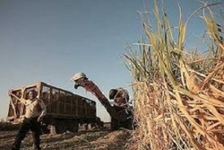 حال ناخوش یکی از پایه‌های مهم تولید + فیلم
