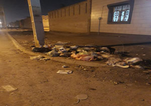 بهداشت اسفناک خیابان در آبادان + فیلم