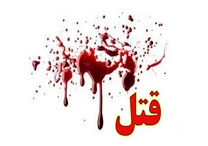 مادرزن قربانی داماد طمع کار شد