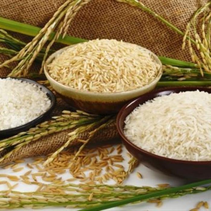 کشف 54 تن برنج قاچاق دراسدآباد
