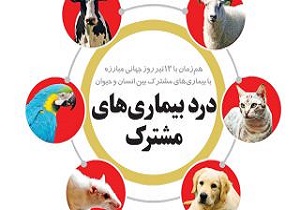 ١٣مورد بیماری هاری شناسایی شد