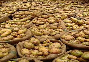 کشف محموله سیب زمینی قاچاق در شلمچه