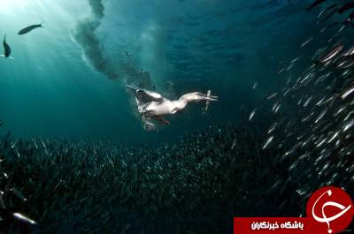 تصاویری شگفت انگیز از دنیای زیر آب