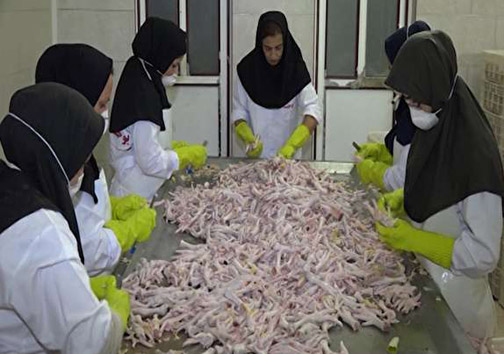 نگاهی گذرا به مهمترین رویداد&zwnj;های دوشنبه ۱۲ آذرماه در مازندران