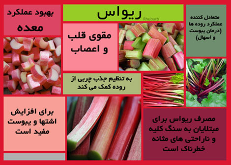 خواص درمانی ریواس+اینفوگرافی
