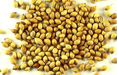 درمان و نابودی سریع زگیل به روش خانگی/از علت تا درمان خارش چشم/ترنجبین برای چه کسانی مضر است؟/چگونه منافذ باز پوست را ببندیم؟