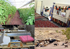 ایجاد اشتغال روستایی و عشایری در لارستان