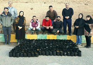 کاشت ۲۹۰ گلدان دو بذری بلوط در شهرستان مهاباد