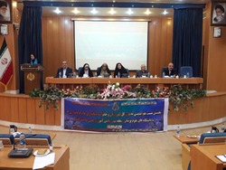 زنان از سهم برابر با مردان در استخدام&zwnj;های دولتی برخوردار نیستند/عمده مشکلات زنان در بخش غیردولتی برخوردار نبودن از ضمانت شغلی است