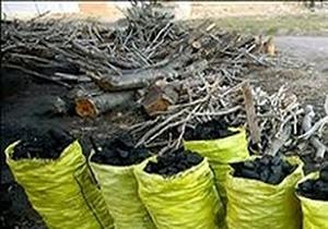 کشف و ضبط ۳۰۰ کیلوگرم زغال بلوط غیر مجاز در دورود