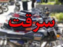 کشف ۱۶ فقره سرقت در ملایر