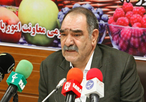 ذخیره&zwnj;سازی بازار میوه شب عید را وزارت صمت بر عهده گرفت