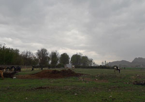 نمایی از طبیعت چشم‌نواز در روستای احمدوند + تصاویر