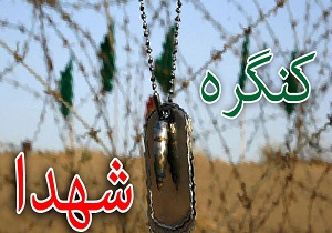 تألیف ۱۰ جلد کتاب بانوان شهیده خراسان جنوبی