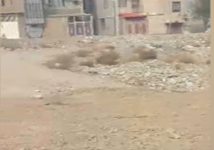 بهداشت اسفناک محیط زیست در شهرک ویره + فیلم