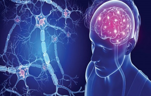 خستگی اولین علامت MS / منظور از ایجاد ترمیم در سیستم عصبی چیست؟