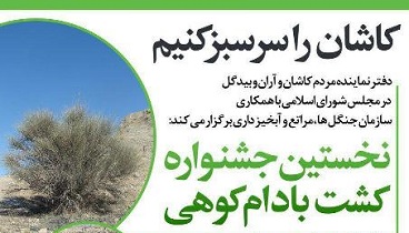 نخستین جشنواره کشت بادام‌کوهی با شعار «کاشان را سرسبز کنیم» برگزار می شود