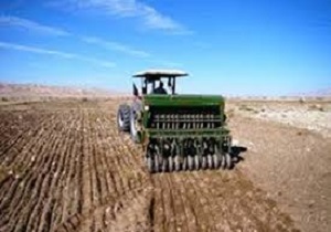 کشت محصولات پاییزه دربیش از ۱۱ هزار هکتار از اراضی شهرستان البرز