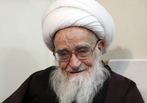 شخصیت علمی حضرت عبدالعظیم(ع)معرفی شود