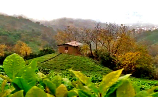 طبیعت بی&zwnj;نظیر و جذاب در روستای جیرگوابر + فیلم
