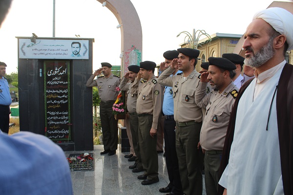 تیتر