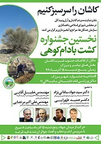 آغاز کشت بادام کوهی در 500هکتار از اراضی ارتفاعات کاشان