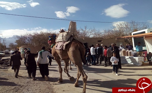 مهریز پایلوت برگزاری جشنواره&zwnj;های کشوری