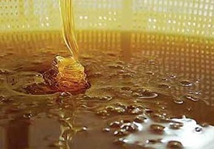 لزوم جلوگیری از عرضه عسل نامعتبر و تقلبی در بازار