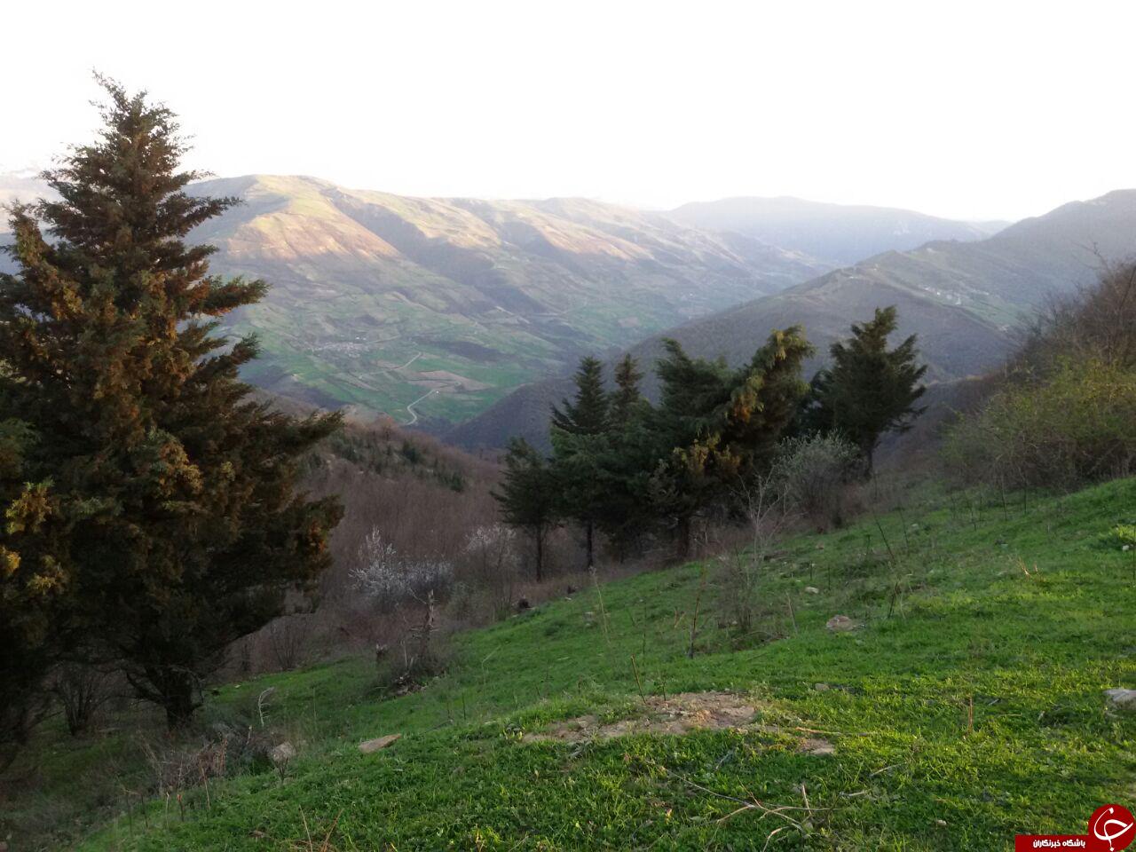نمایی از طبیعت جذاب در روستای عروسک + تصاویر