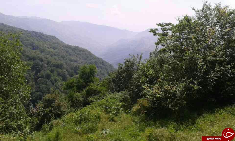 نمایی از طبیعت جذاب در روستای عروسک + تصاویر