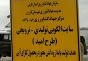 اجرای طرح امید در شهرستان کازرون