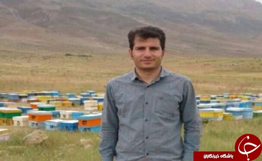 نوشیدنی از درون شکم زنبور، برای درمان مردم