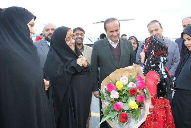 معاون رئیس جمهور وارد ایلام شد