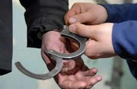 صدور حکم یکسال حبس تعزیری برای حفاران غیرمجاز شهر کهن نیشابور