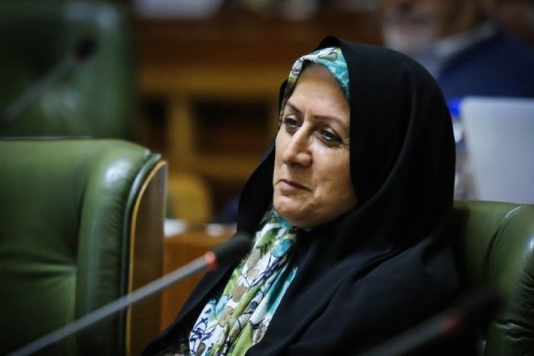امانی: بی&zwnj;زحمت رأی آوردم/ مخالفت کابینه دولت با حضور زنان برای خارج از نزاکت سخن گفتن