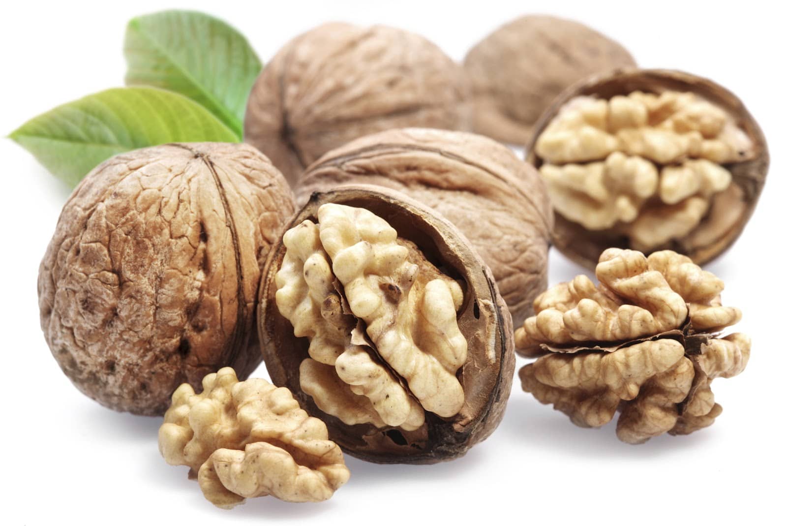 گردوی تویسرکان در راه ثبت جهانی