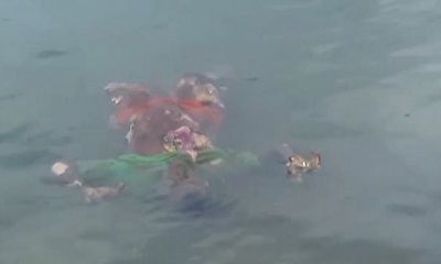 تصاویری دلخراش از شهادت چهار ماهیگیر یمنی به دست متجاوزان سعودی + فیلم