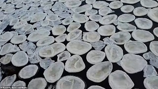 تکه&zwnj;های یخ مرموز روی سطح رودخانه&zwnj;ای در اسکاتلند +فیلم